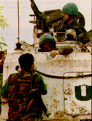 Mujahideen in Bosnia and Herzegovina